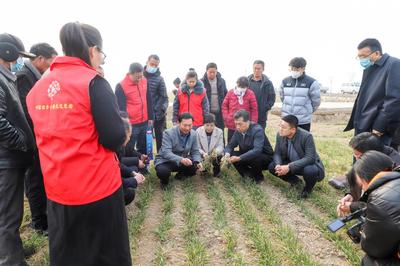 科普惠農進田間，科技賦能助增收——濟寧市農科院開展農技專題培訓